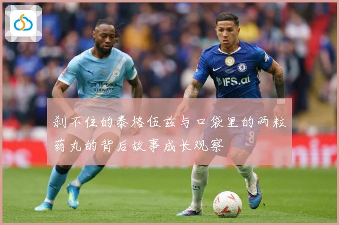 刹不住的泰格伍兹与口袋里的两粒药丸的背后故事成长观察