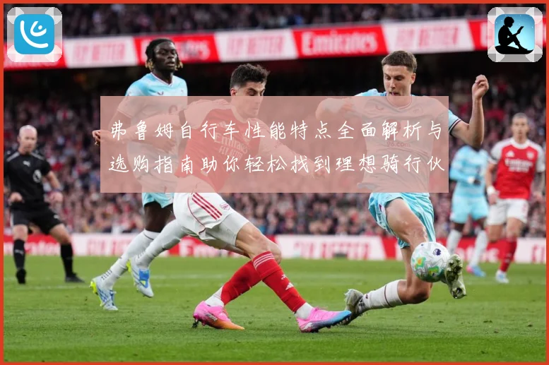 弗鲁姆自行车性能特点全面解析与选购指南助你轻松找到理想骑行伙伴