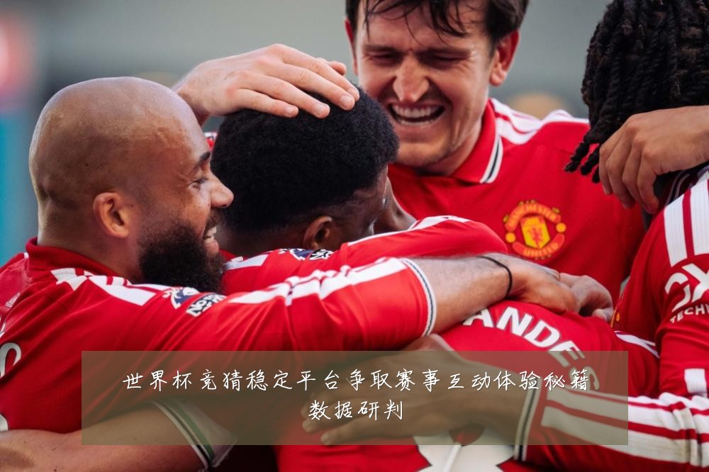 世界杯竞猜稳定平台争取赛事互动体验秘籍数据研判